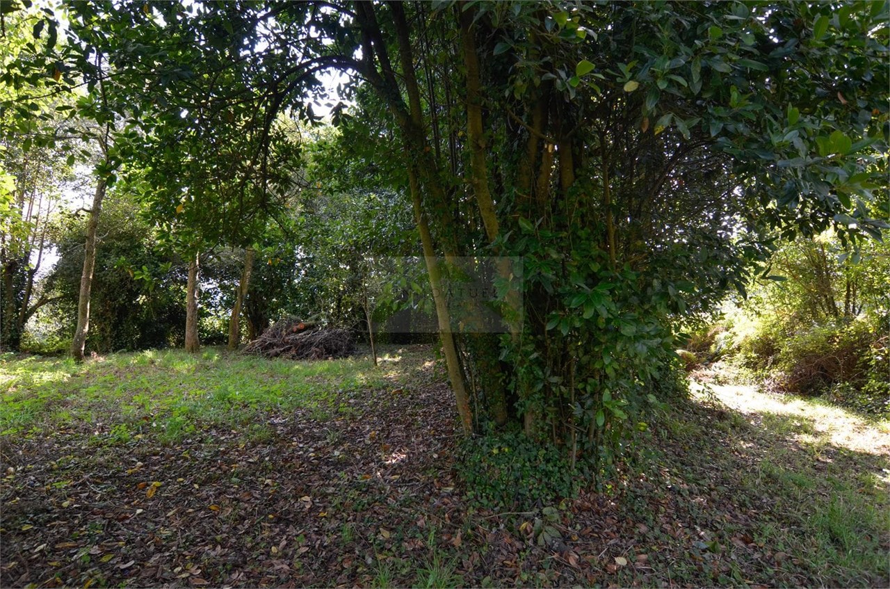 Foto 4 Casa de 88m2 + finca de 486m2, zona Xontes - Carral (A Coruña).- 